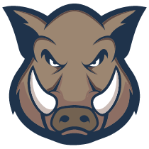 Bush Hog Mowing Pros