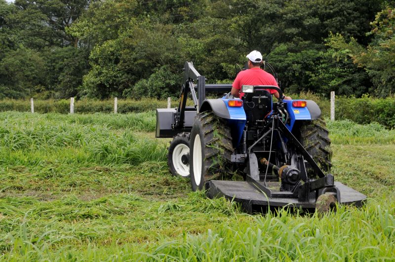 Bush Hog Mowing in Waldorf, MD
